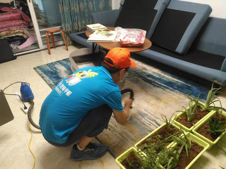 客廳地毯全方位噴涂施工治理 客廳地毯全方位噴涂施工治理