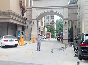 常春藤花園小區荃芬除甲醛施工案例